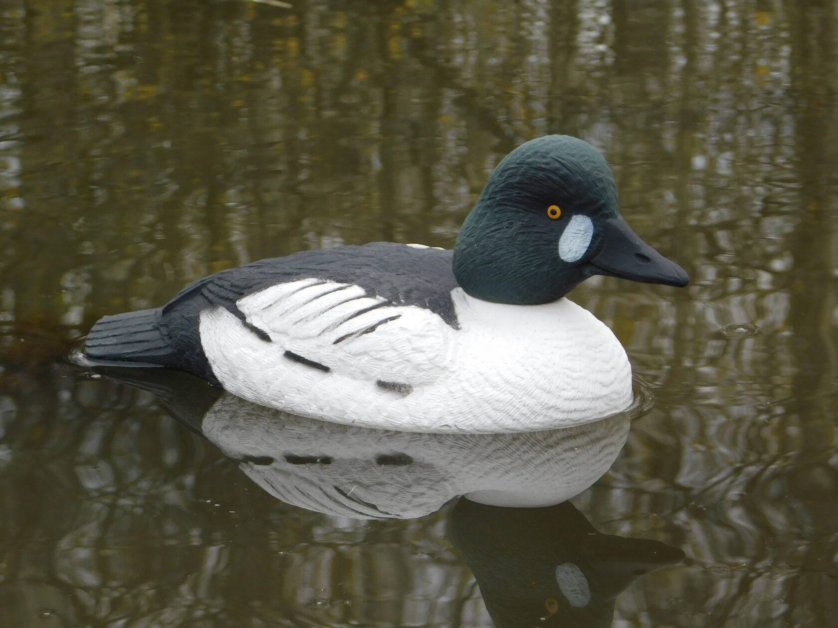 Чучело утки "Гоголь селезень" (рельеф) дл.32 см