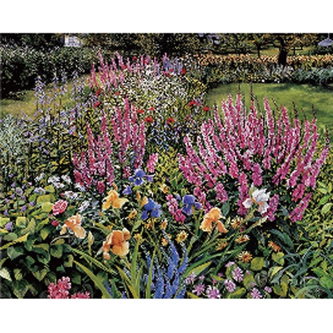 Схема вышивки бисером  35х45 см, 572