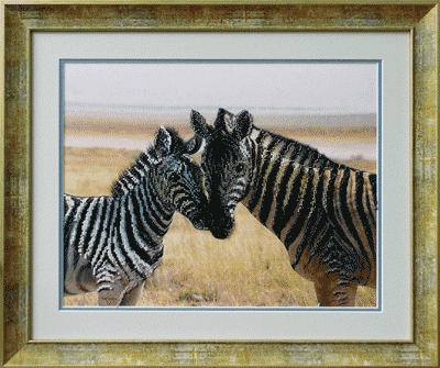 Набор для вышивания «Чарiвна Мить» Б-561 Зебры,37*29 см