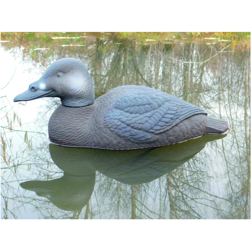 Чучело утки "Турпан горбоносый утка" (рельеф) дл. 43 см