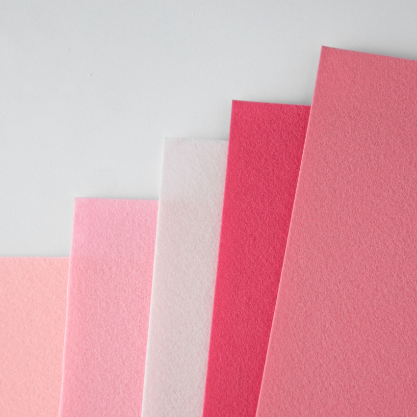 Набор декоративного  фетра FSR1.2 (N5)-04 1,2мм; 22см х 30см (5 листов, 5 цветов)