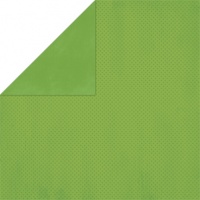 Бумага для скрапбукинга  BoBunny  размер 31х31см (арт 12CD419, коллекция " Clover Dot")
