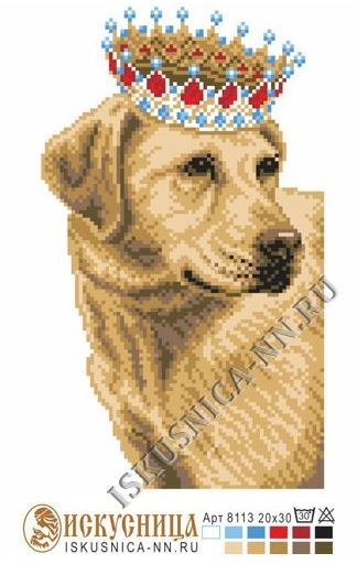 Рисунок на канве с мулине «Искусница» 8113 Лабрадор в короне 20*30
