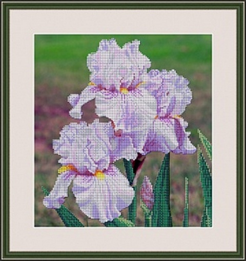 Набор для вышивания "Galla Collection" Л 320 "Ирисы" 28 х 30 см