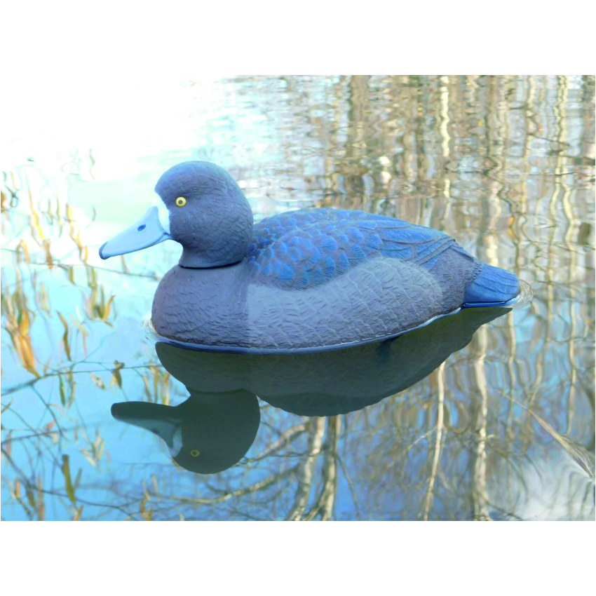 Чучело утки "Морская чернеть утка" (рельеф) дл. 29 см