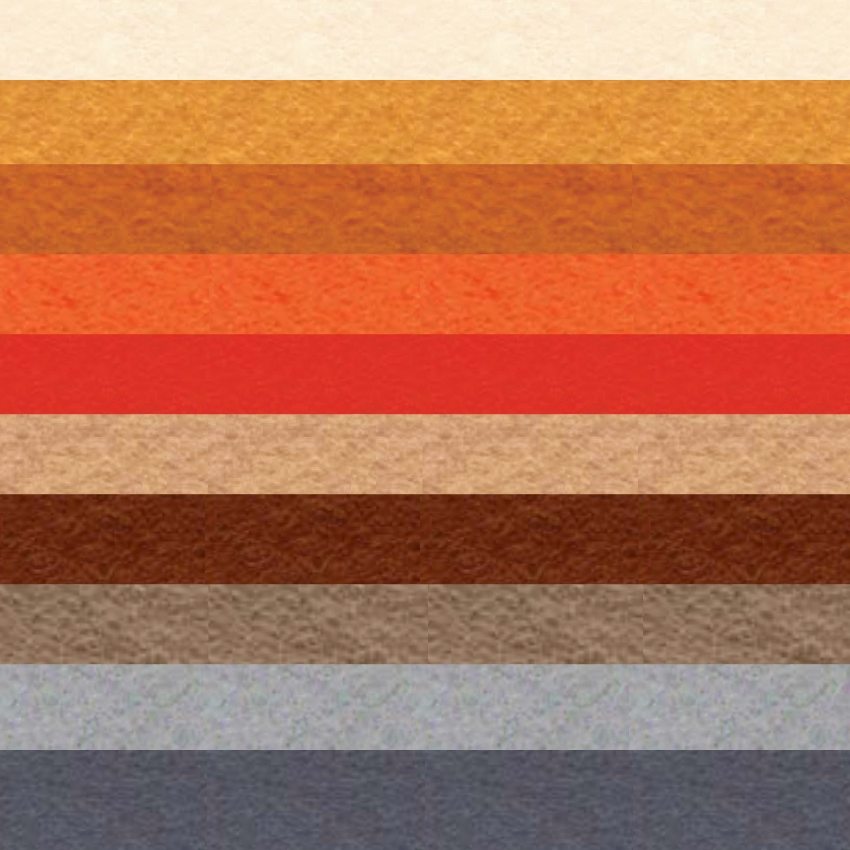 Набор декоративного  фетра FSR1.2 (N10)-29 1,2мм; 22см х 30см (10 листов, 10 цветов)