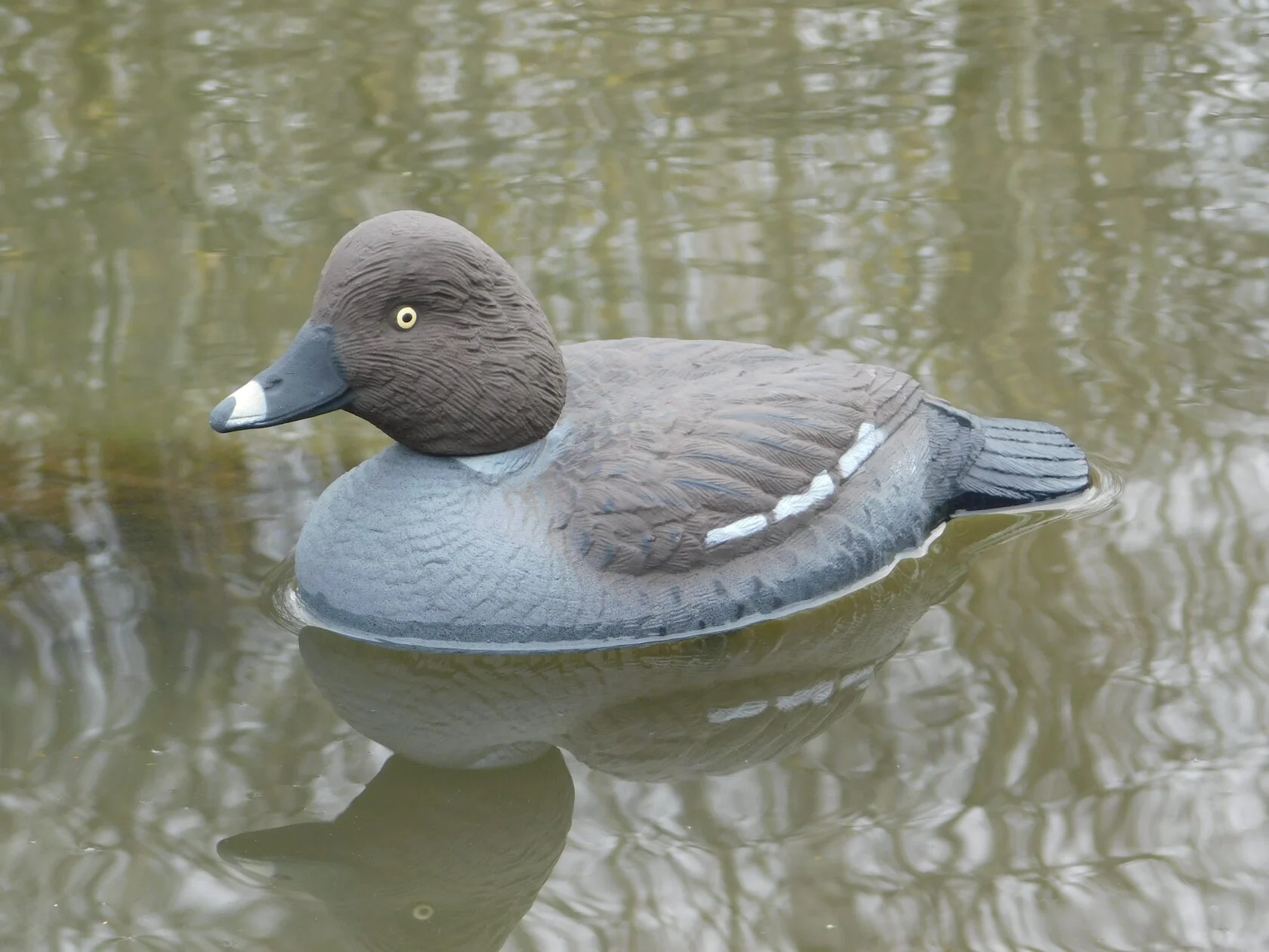 Чучело утки "Гоголь утка" (рельеф) дл.32 см