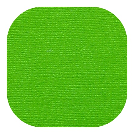 Бумага текстурированная "Рукоделие" BO-21 ТРАВЯНОЙ, 235г/м2, 305х305мм, 10 листов