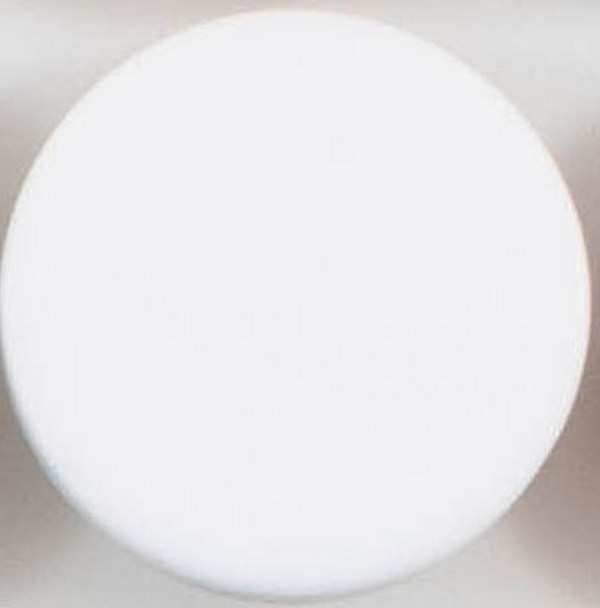 Пуговицы  "Колибри" NE189 White ( белый ) 24L