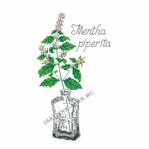 Набор для вышивания крестом «Искусница» 595 Ароматные травы.Мята (набор для вышивания крестом)