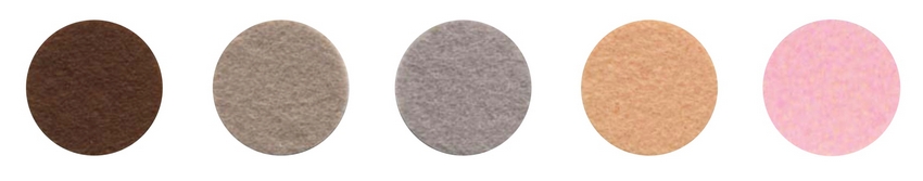 Набор декоративного  фетра FSR1.2 (N5)-13 1,2мм; 22см х 30см (5 листов, 5 цветов)