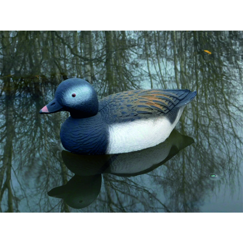Чучело утки "Морянка селезень весенний окрас " (рельеф) дл.34 см