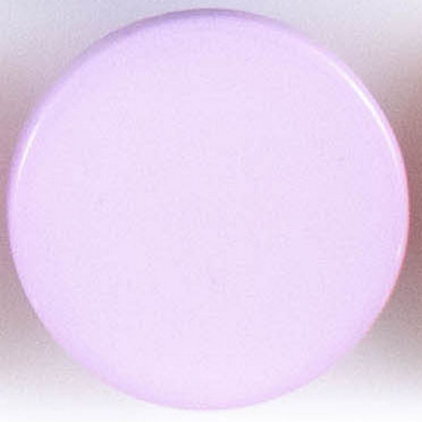 Пуговицы  "Колибри" PS21 Purple ( фиолетовый ) 24L