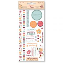 Натирки САХАР И СПЕЦИИ DCRO05