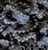 Дантэла вул (DANTELA WOOL), пряжа для ручного вязания (182, ср.серый меланж )