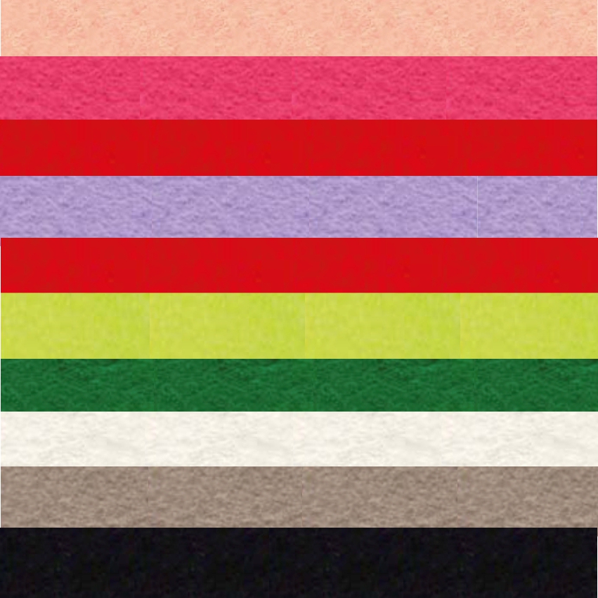 Набор декоративного  фетра FSR1.2 (N10)-10 1,2мм; 22см х 30см (10 листов, 10 цветов)