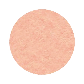 Набор декоративного  фетра FSR1.2 -811N5 1,2мм; 22см х 30см (5 листов, цвет пудра) Набор декоративного  фетра FSR1.2 -811N5 1,2мм; 22см х 30см (5 листов, цвет пудра)