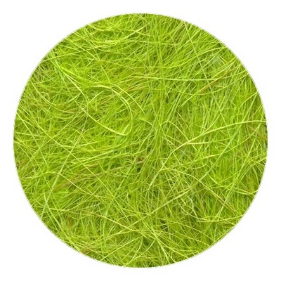 Сизалевое волокно BHG-20 «Blumentag» 20 ± 3 г, цв. св.зеленый