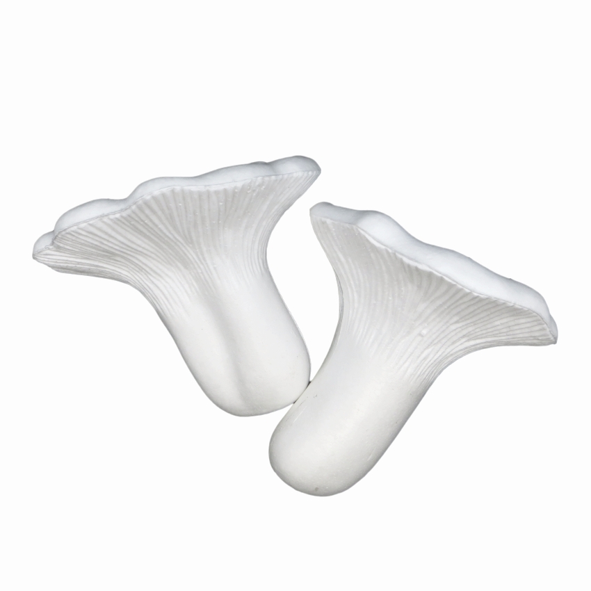 Форма из пенопласта ГРИБЫ «Лисички» h=14 см( 1+1) комплект