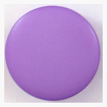 Пуговицы "Колибри" NE68 Purple ( фиолетовый ) 28L 12 шт