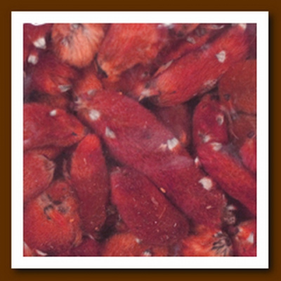 Декоративные элементы YW179, 50гр	7708971 цвет: красный