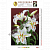 Схема на иск.шелке «Искусница» ББ-072 Белые лилии Схема на иск.шелке «Искусница» ББ-072 Белые лилии
