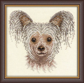 Набор для вышивания «Panna» Ж-1130 Китайская хохлатая,20х20 см