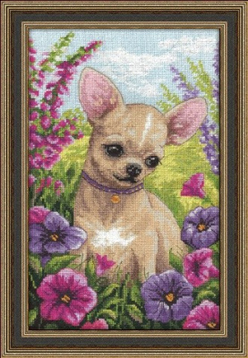 Набор для вышивания «Panna» Ж-1487 Чихуахуа,16*26 см