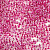 Бисер «Preciosa» 50 г, 331-19001-10/0-38627