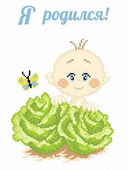 Набор для вышивания «М.П.Студия» КН-453 Я родился 30*21 см 