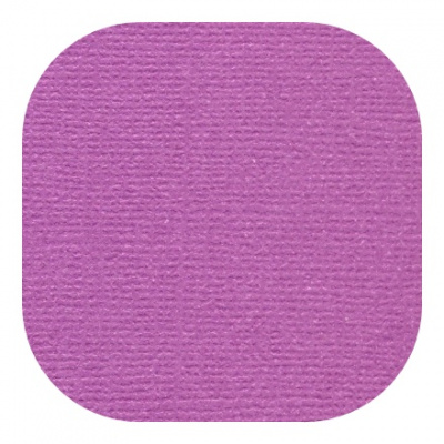 Бумага текстурированная "Рукоделие" BO-38 ВИНОГРАДНЫЙ, 235г/м2, 305х305мм, 10 листов