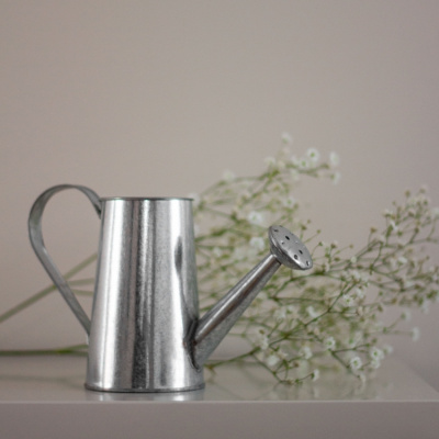 Лейка SL7078, 12,5*6*8см (никель)