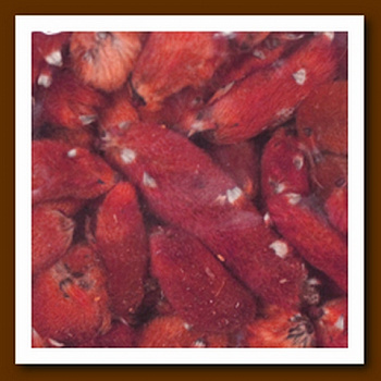 Декоративные элементы YW179, 50гр	7708971 цвет: красный