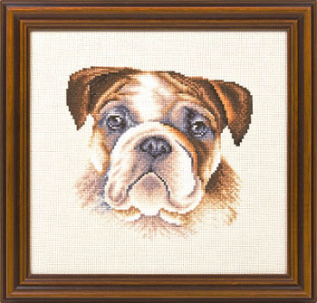 Набор для вышивания «Panna» Ж-1056 Английский бульдог,20х20 см