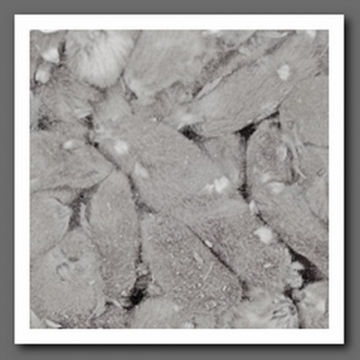 Декоративные элементы YW179, 50гр	7708971 цвет: нат/дерево