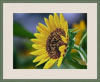 Набор для вышивания "Galla Collection" Л 321 "Подсолнух" 32 х 24 см