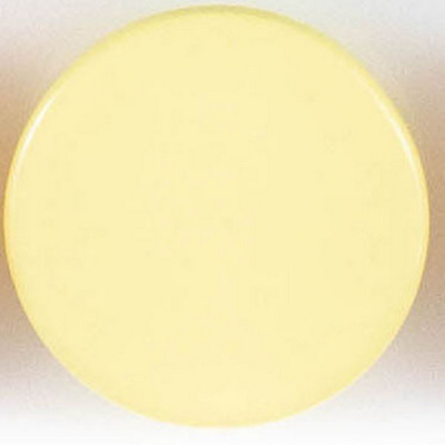 Пуговицы  "Колибри" PS21 Yellow ( желтый ) 18L