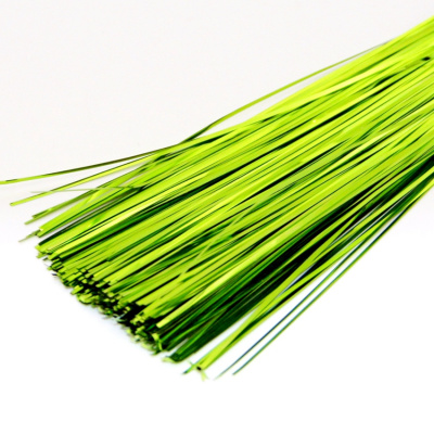 Бить плоская (Индия) зеленый попугай