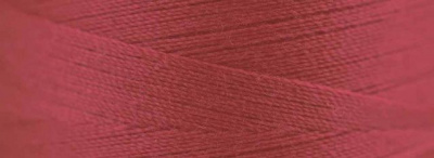 Нить армированная Artyn № 120 1000м Aurora