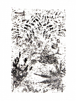 Резиновый штамп «Fossil», 10,1x15,2см