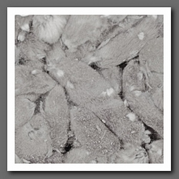 Декоративные элементы YW179, 50гр	7708971 цвет: нат/дерево