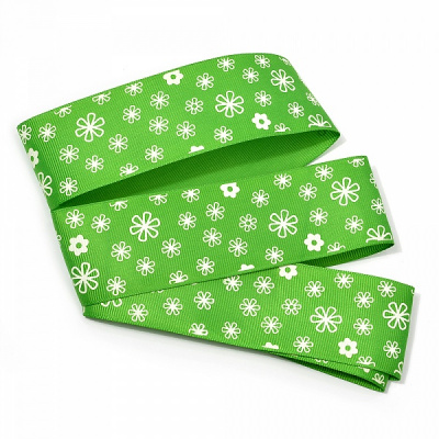 Лента репсовая с рисунком арт.TBY.LDR819 шир.38 мм 10 м