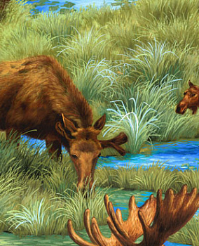 Ткань 100% хлопок, ширина 110 см,3652-8334-2