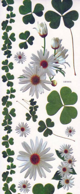 Наклейки Mr.Painter Переводные для керамики 10,5х35,5 Ромашки и клевер