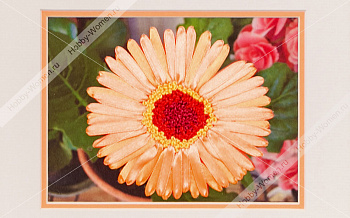 Набор для вышивания лентами "WH" ВЛС0020 Гербера