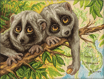 Набор для вышивания «Panna» Ж-1790 Скромные лори, 24 х 18 см