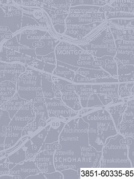 3851 Коллекция "Старинные авто" (60335-85, 100% хлопок, 110 см)