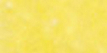 Флористическая лента "Blumentag" CLF шир.12мм, дл. 27,4 м, цв. 12 желтый 