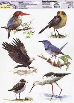 Наклейки для окон Mr.Painter ОК-10 В мире птиц 2