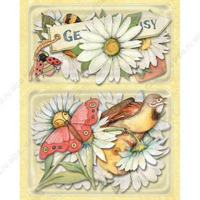 Стикеры "Весенние ромашки"